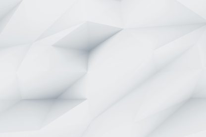 demo image 000003