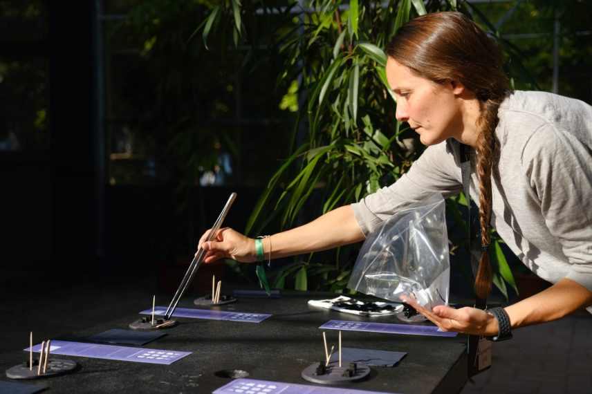 Capucine Gros UNFINISHED