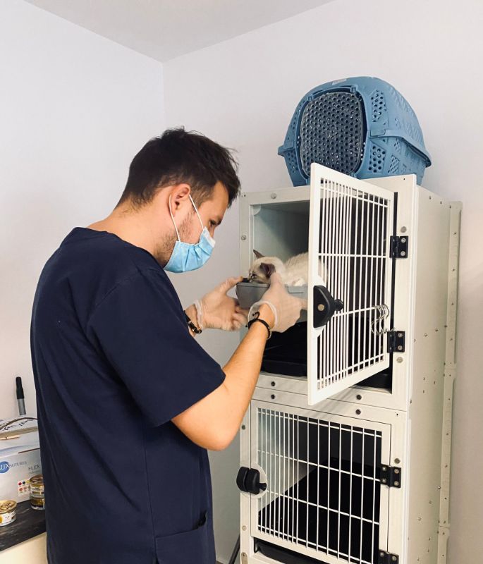 Marius Chircă, fondator Kola Kariola: „Nu voi renunța atât timp cât munca mea contează și este corectă!” 8 kola kariola