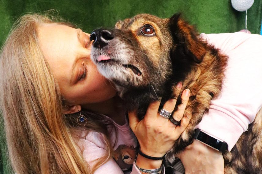 Sache, povestea cățelului care a numit o fundație și spitalul social dedicat animalelor și oamenilor