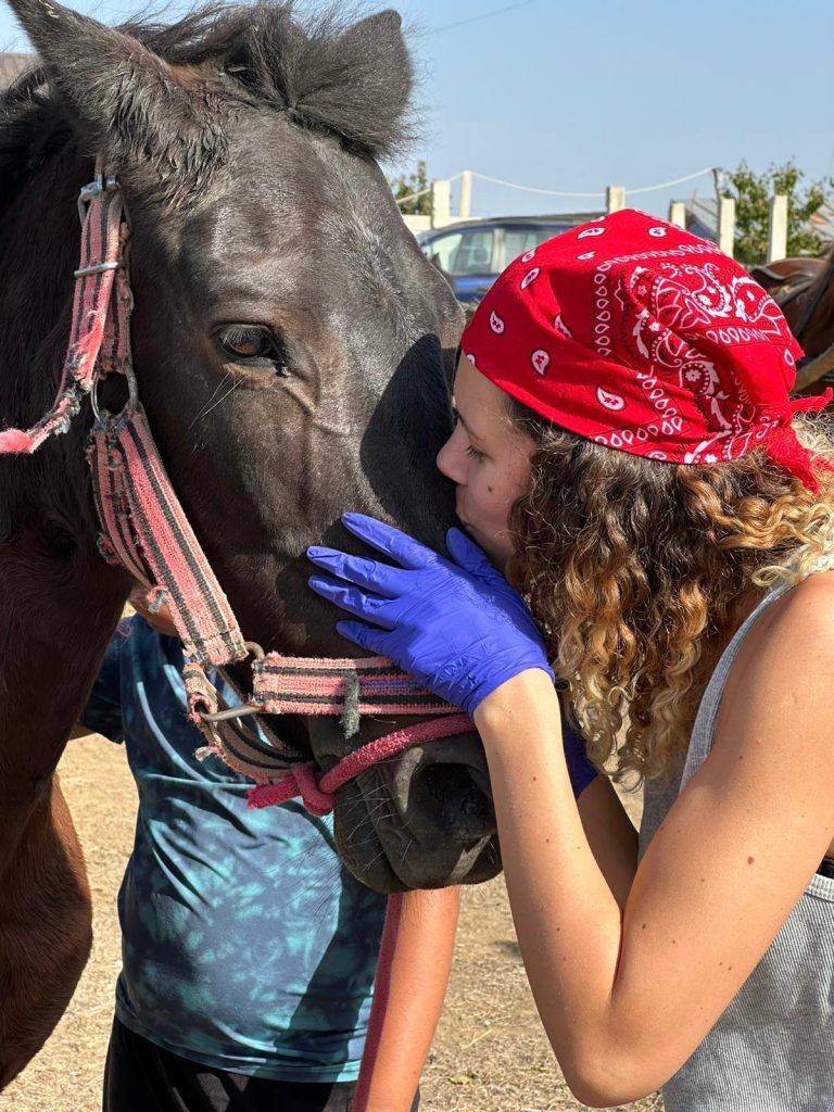 Hilde Tudora, șefă la Direcția pentru Protecția Animalelor, demonstrează că se poate face treabă bună și „la stat”