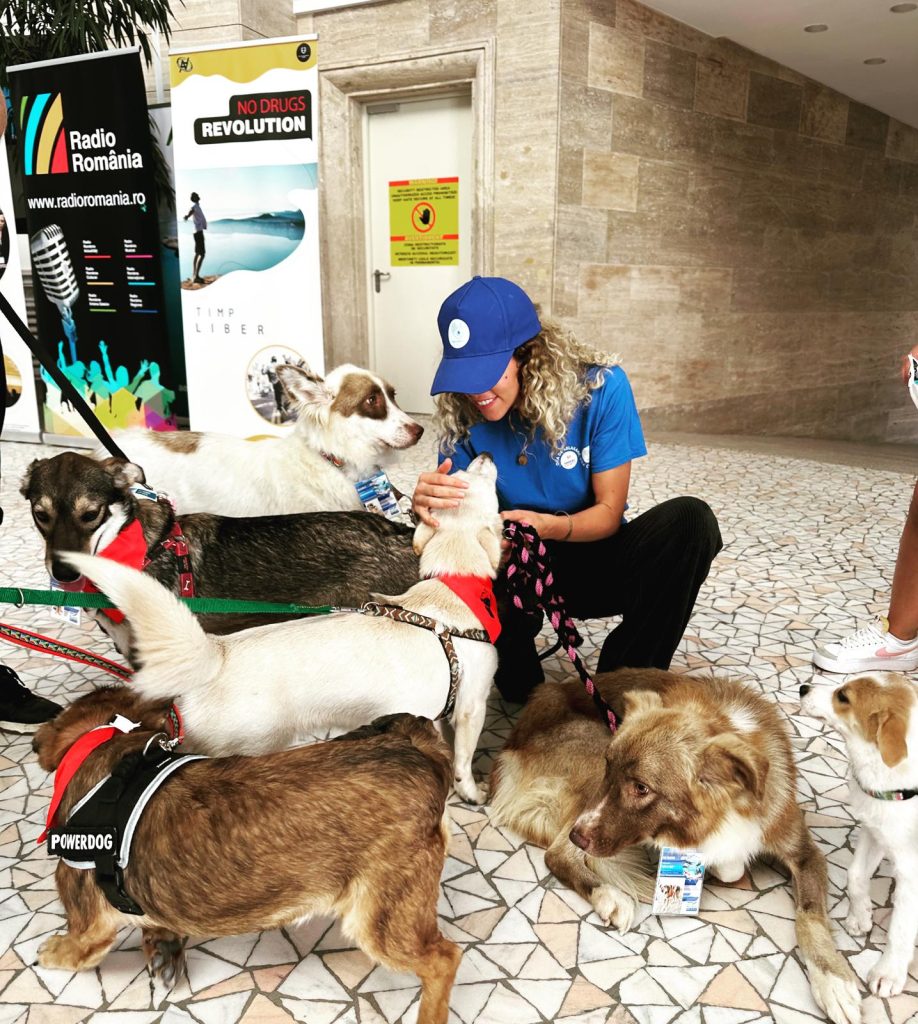 Hilde Tudora, șefă la Direcția pentru Protecția Animalelor, demonstrează că se poate face treabă bună și „la stat”