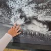 IMG 0139