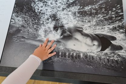IMG 0139