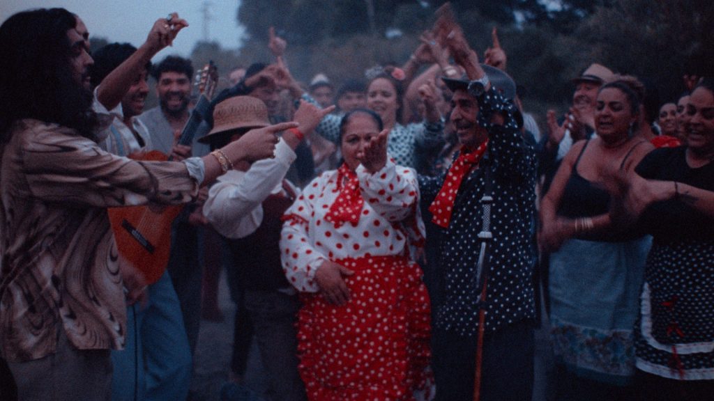 Bucharest International Dance Film Festival, între 11 și 14 septembrie 9 The Flamenco Guitar of Yerai Cortes Still 1
