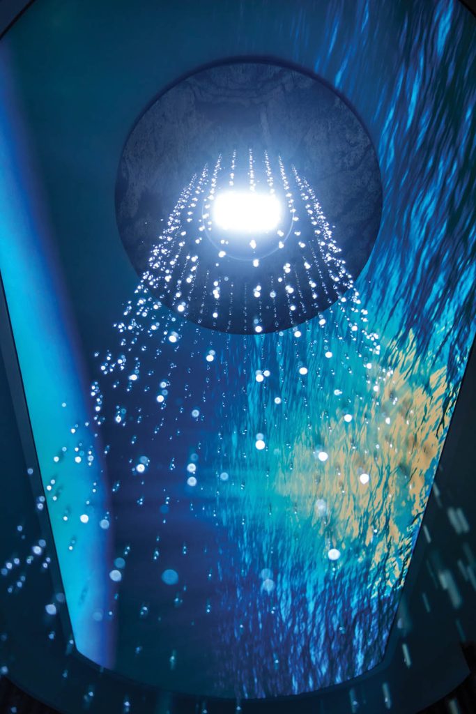 Elementele rafinamentului 8 The Elements SPA 05