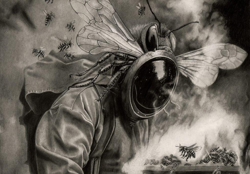 Florin Dragoi Mellarius detaliu